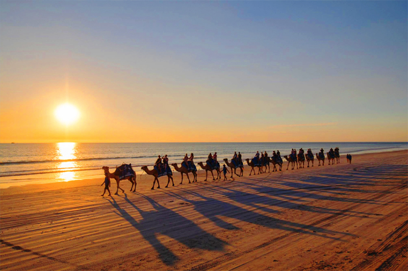 Jetabout Holidays Broome Camel riding
