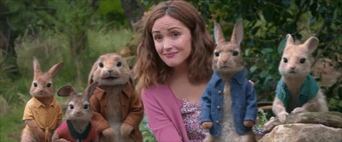 Peter Rabbit and friends