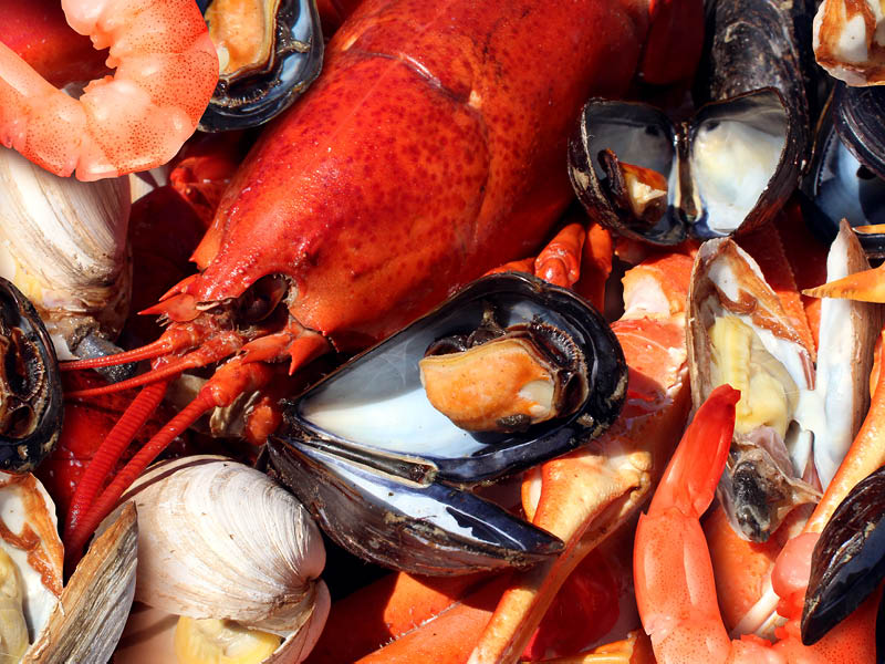Shellfish is one of the most common food allergies