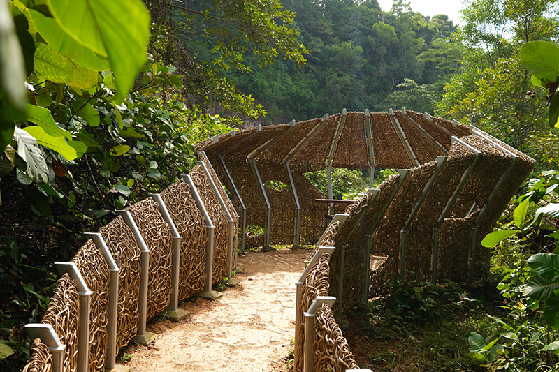 hikes in singapore and walking trails in parks