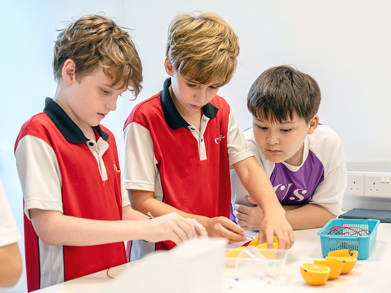 young minds at CIS - STEAM education stream