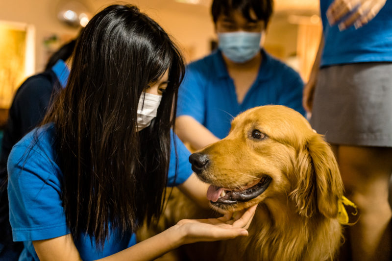 UWCSEA singapore schools animal therapy