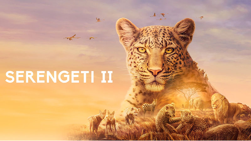 What to watch - Serengeti II