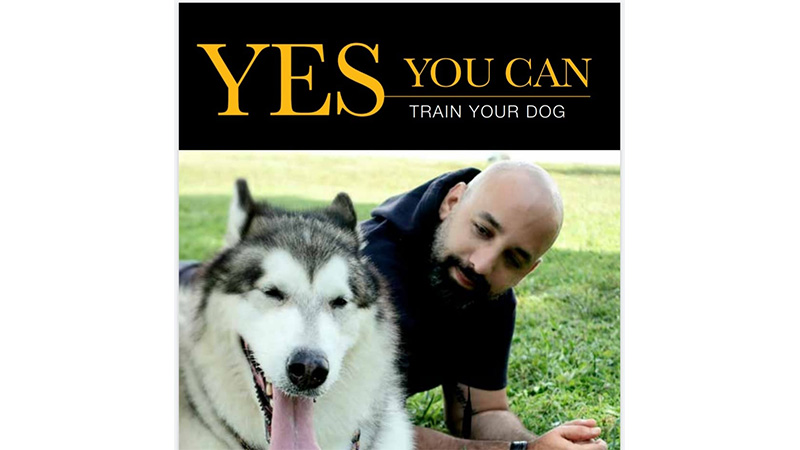 Yes You Can Train Your Dog |  Eli Atias