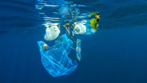 Plastic bags