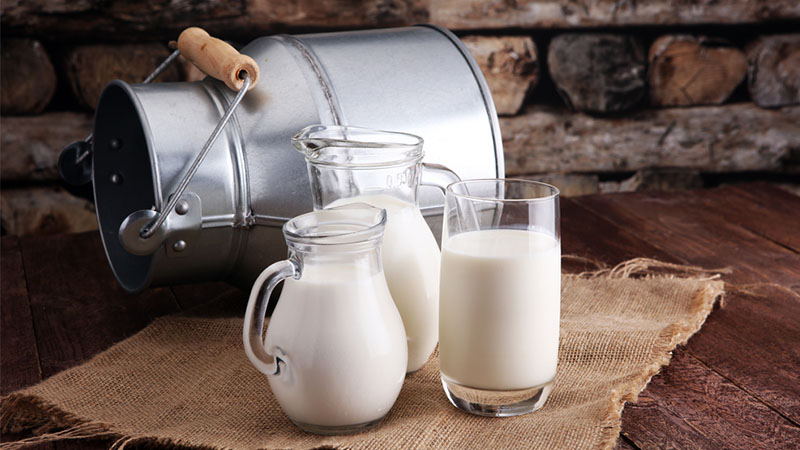 milk and food for healthy bones