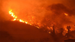 Environmental news - California fires
