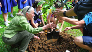 Jane Goodall Volunteering