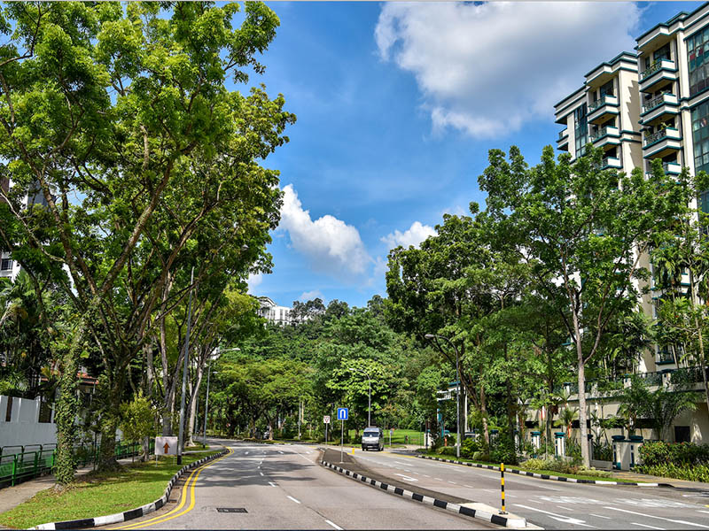 Hillview singapore