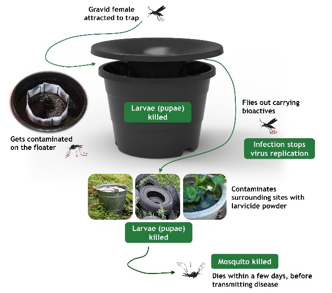 Rentokil In2Care Outdoor Mosquito Trap for mosquitoes in singapore