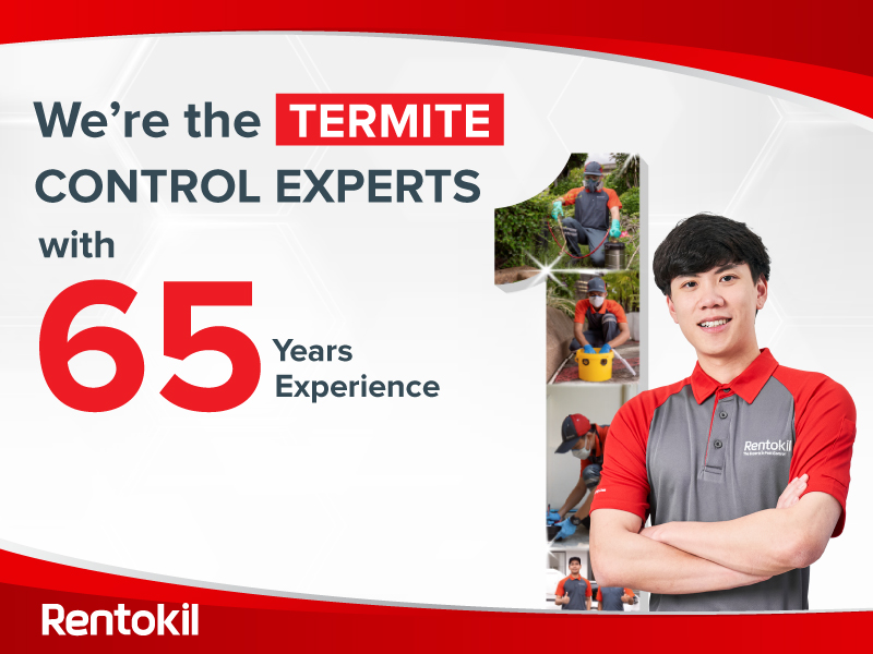 termite infestations and treatment with rentokil
