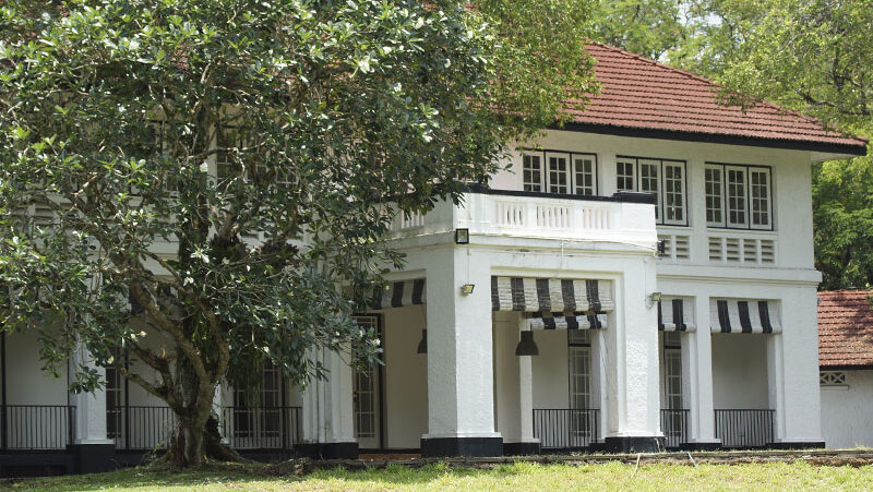 Adam Park Black and White Houses