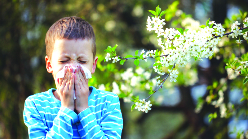 Environmental allergies 