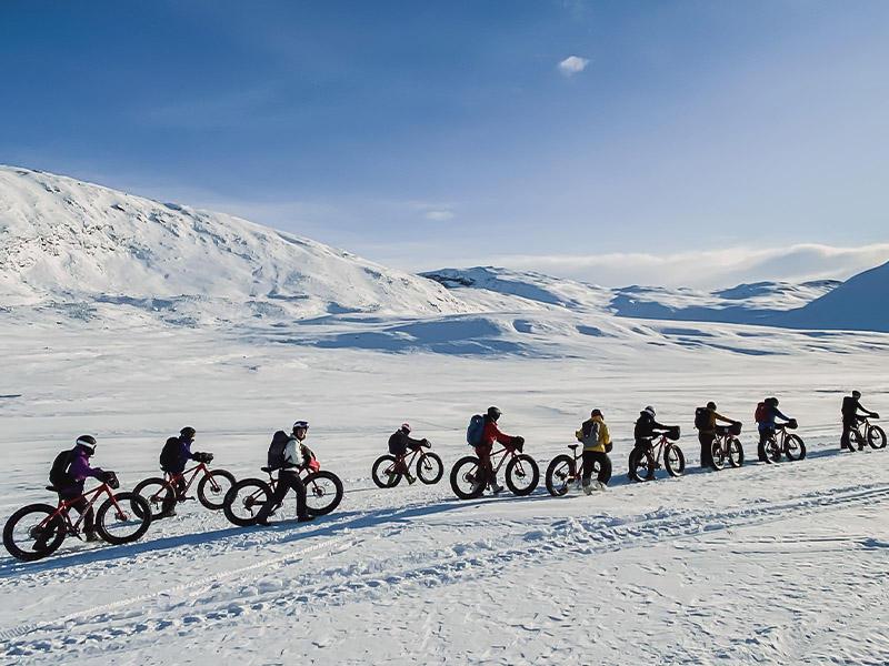 Her Planet Earth team Greenland cycling trip