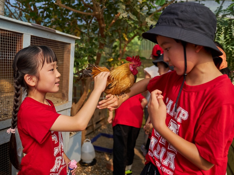 christmas holiday camps in Singapore