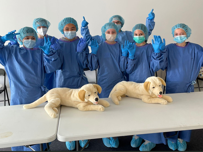 Future Vet Kids Camp - holiday programmes Singapore - winter camp 