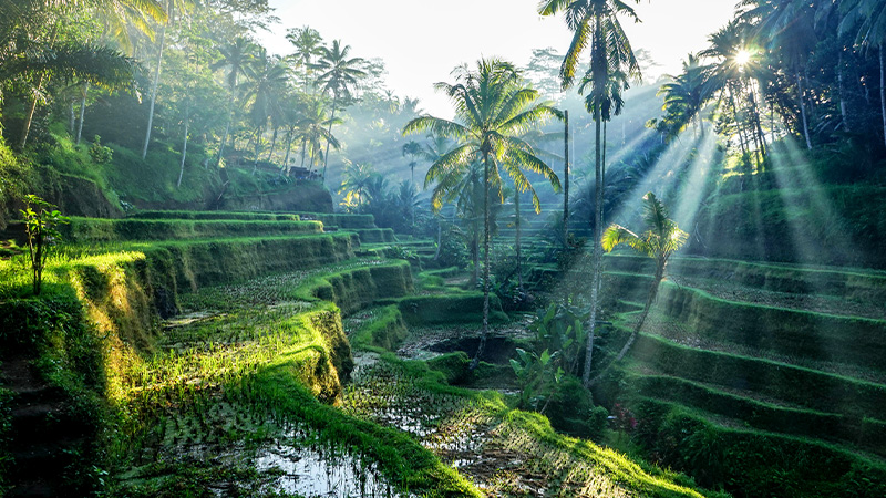 Ubud, Bali - one of the top Instagram destinations in the world