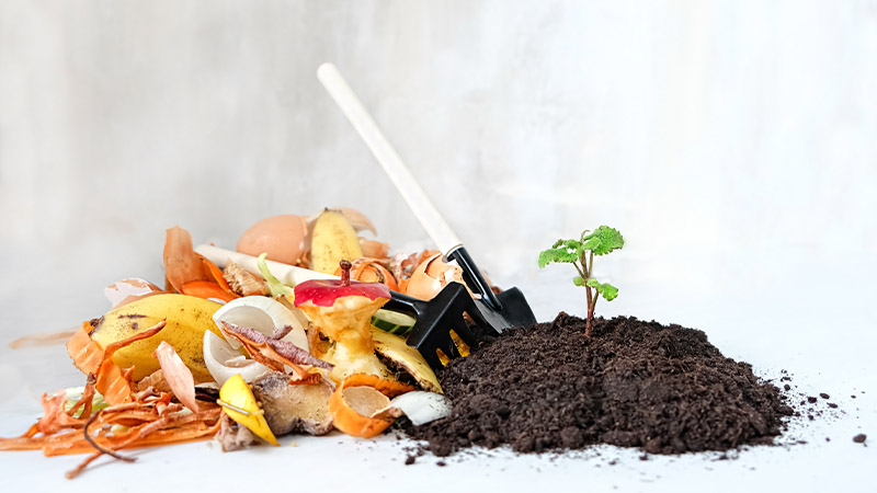composting food waste in Singapore