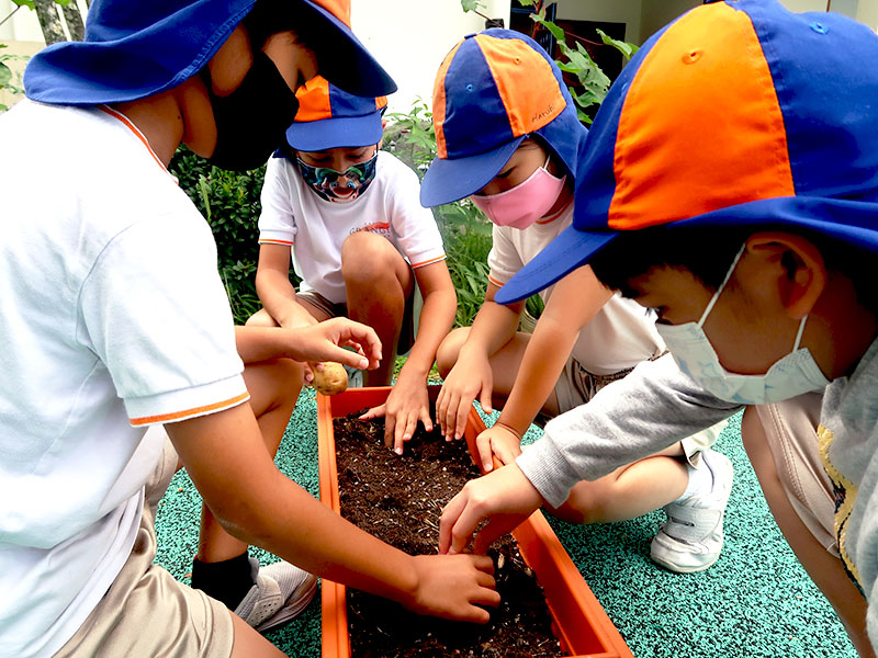 The Grange Institution Preschool eco-garden