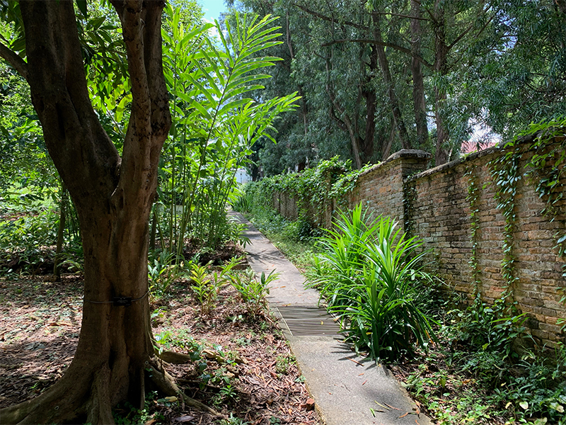 A Walk in Singapore - The History of Fort Canning