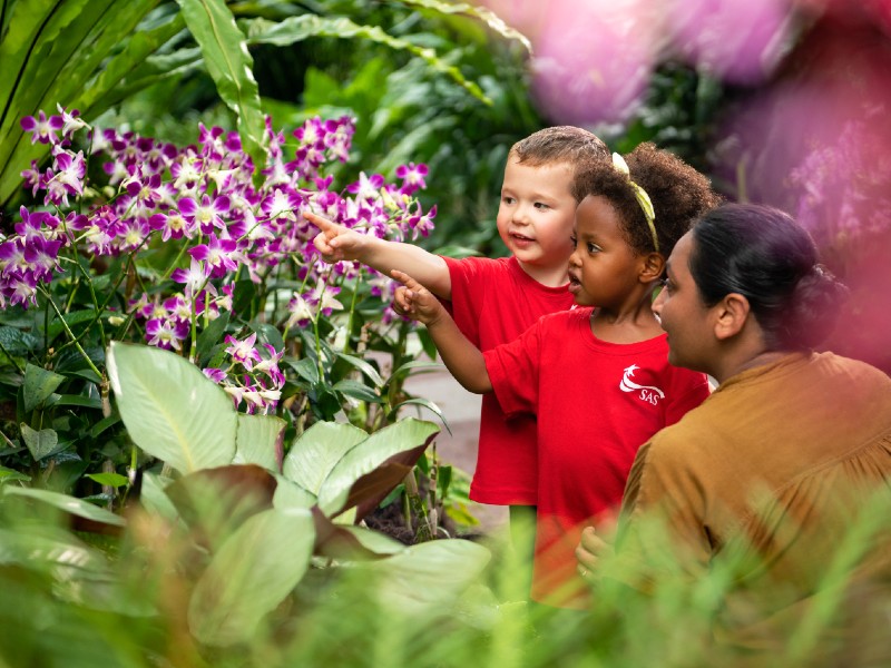 Singapore American School pre-kindergarten students admiring orchids outdoor time