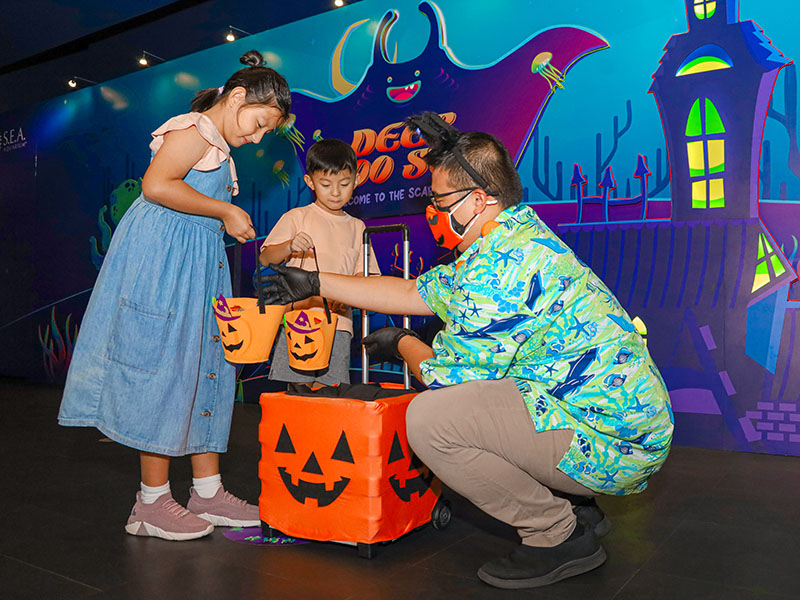 Halloween activities trick or treat at Resorts world sentosa S.E.A. Aquarium