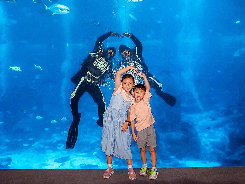 skeleton divers at Deep Boo Sea S.E.A. Aquarium Resorts World Sentosa