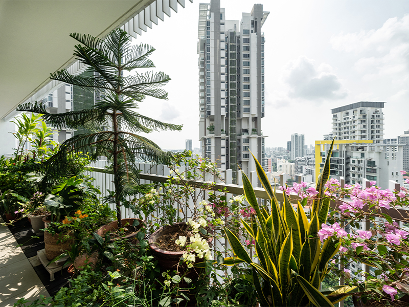 Terrace garden high-rise condo in Novena