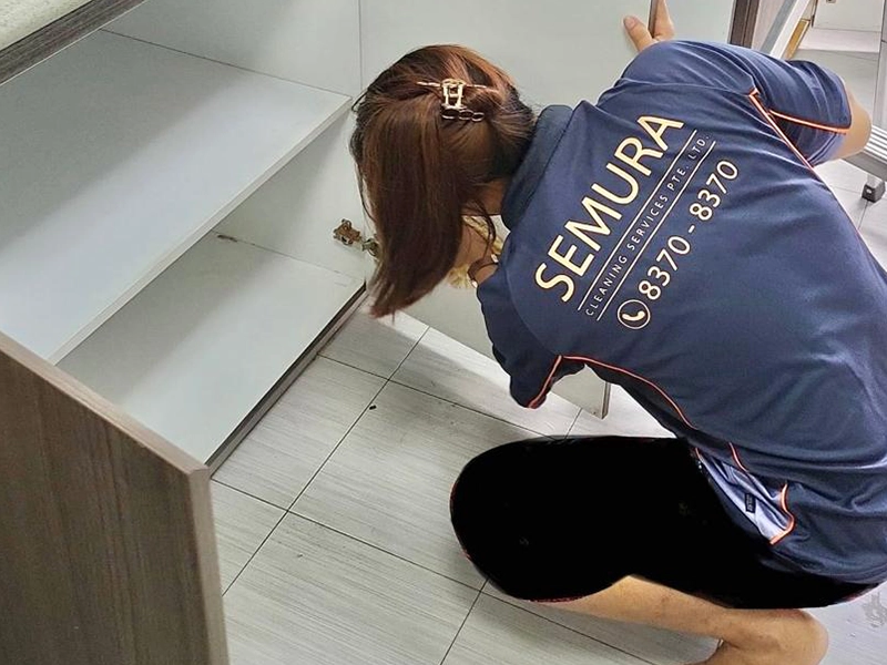 PinkMaids cleaning service in Singapore offer part-time cleaners 