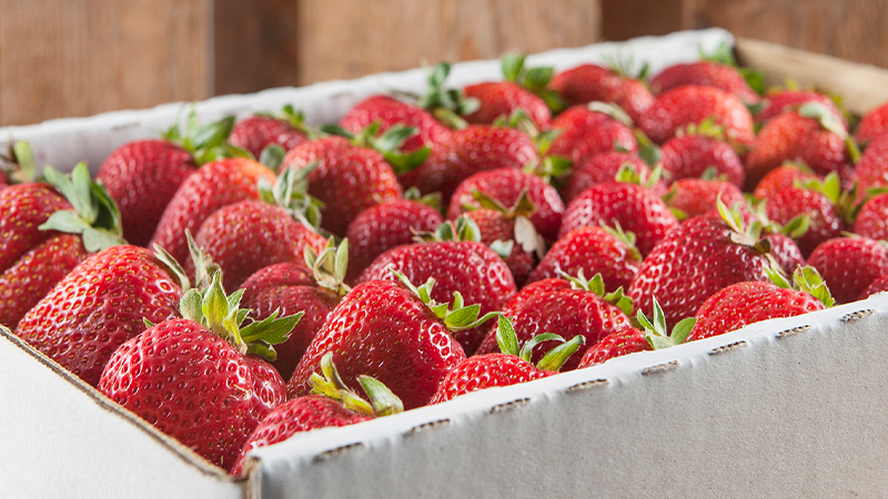 Delicious strawberries are just one of many great-value groceries online at OpenTaste Singapore 