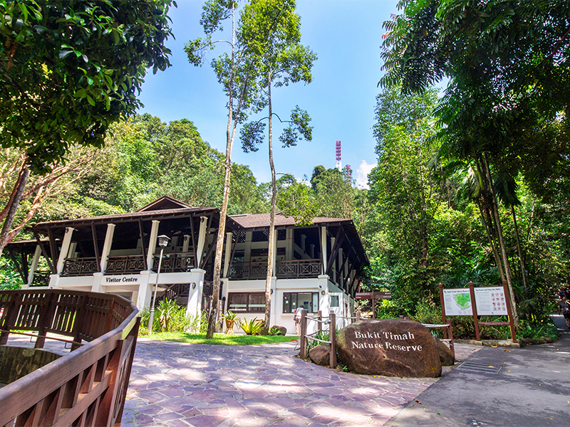 Bukit Timah Nature Reserve near Beauty World MRT