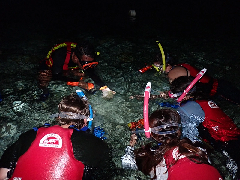 Camp APA in Cebu, Philippines snorkelling in cebu