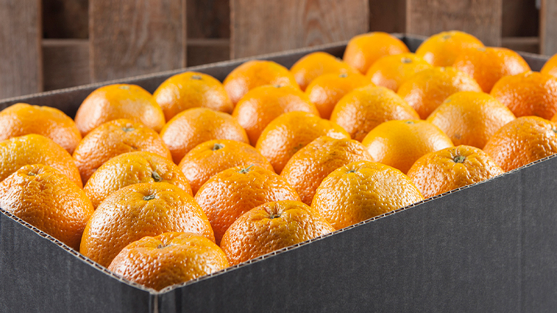 Add oranges from OpenTaste Singapore to your cart when you do your grocery shopping online in Singapore
