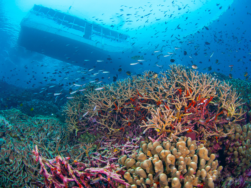 Best places for diving in Indonesia