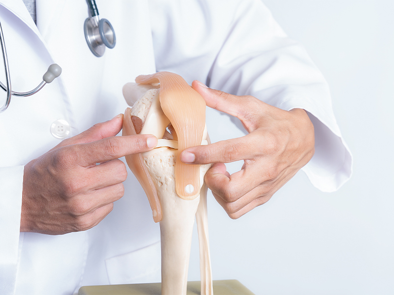 orthopaedic surgeon for knee replacement surgery