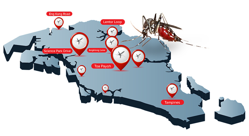 mosquito dengue clusters rentokil