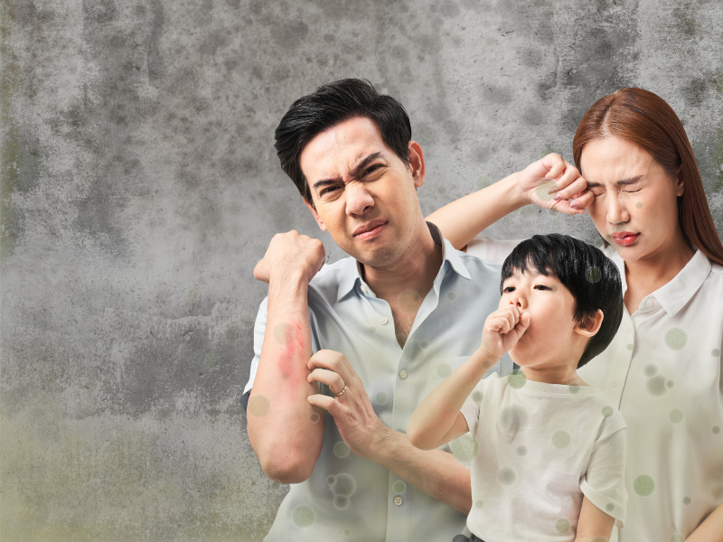 mould removal service in singapore