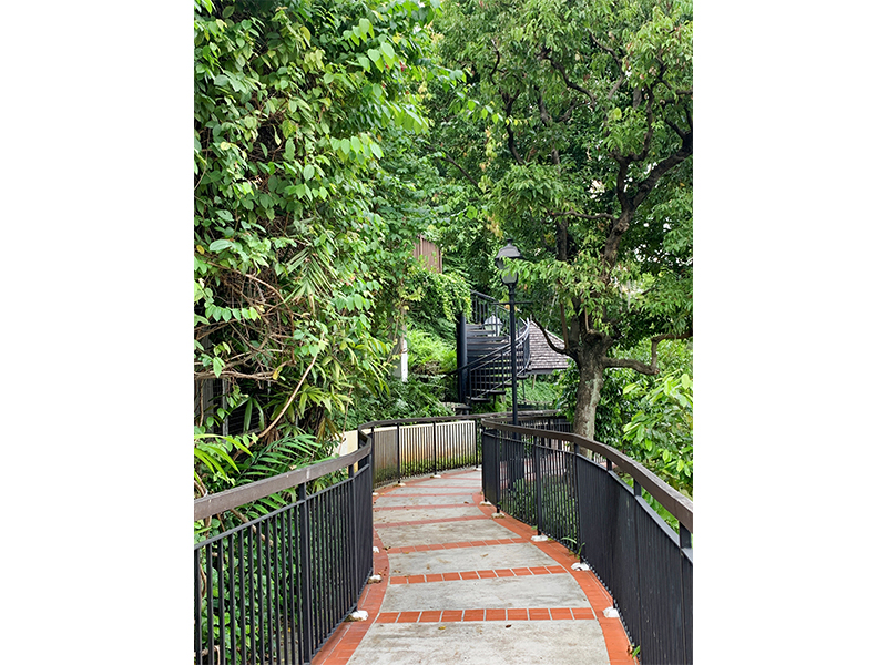 Singapore walk - Ann Siang Hill