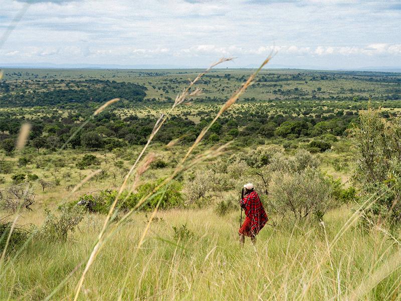 lightfoot travel, africa safari pacakges