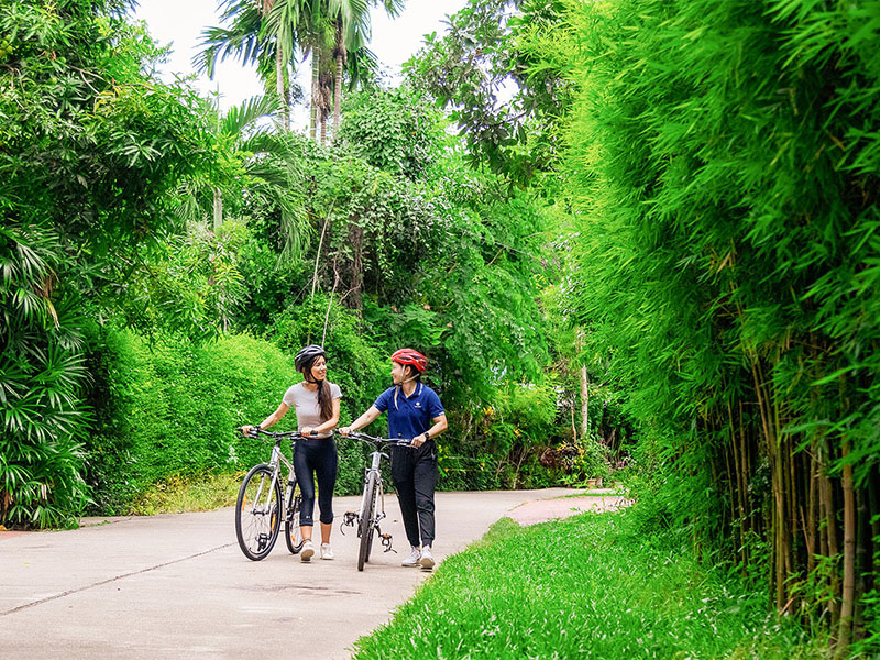 The Cabin Chiang Mai - where to get help for anxiety 