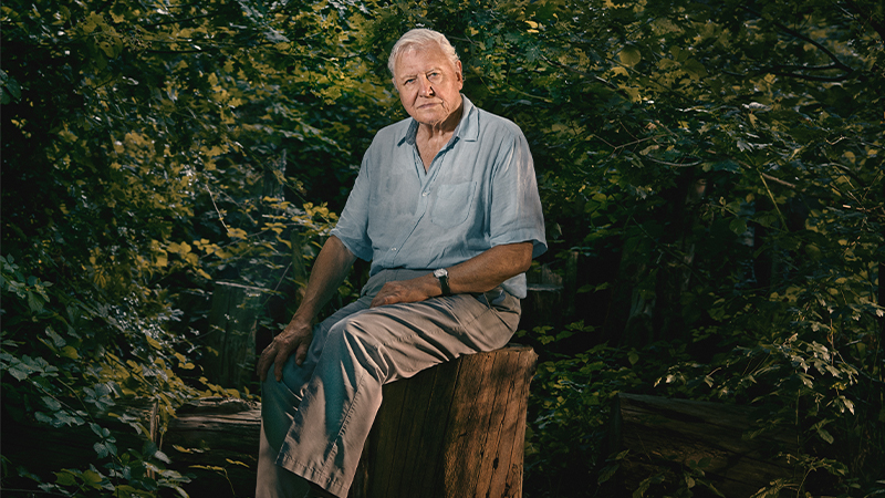 What's new in Singapore - BBC Earth's Asia with Sir David Attenborough