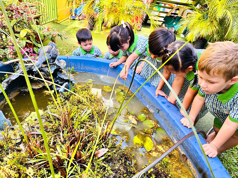 outdoor pond exploration childcare centre activity