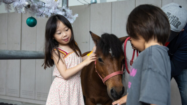 Christmas at the Stables by Equal