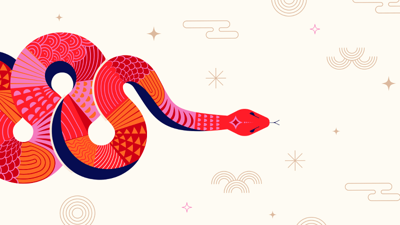 multi-coloured snake on a cream coloured