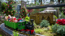 Gardens by the Bay Christmas Train Show - what's on in singapore this week