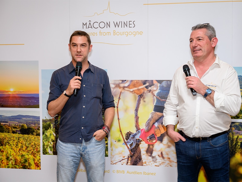 Mâcon wine region