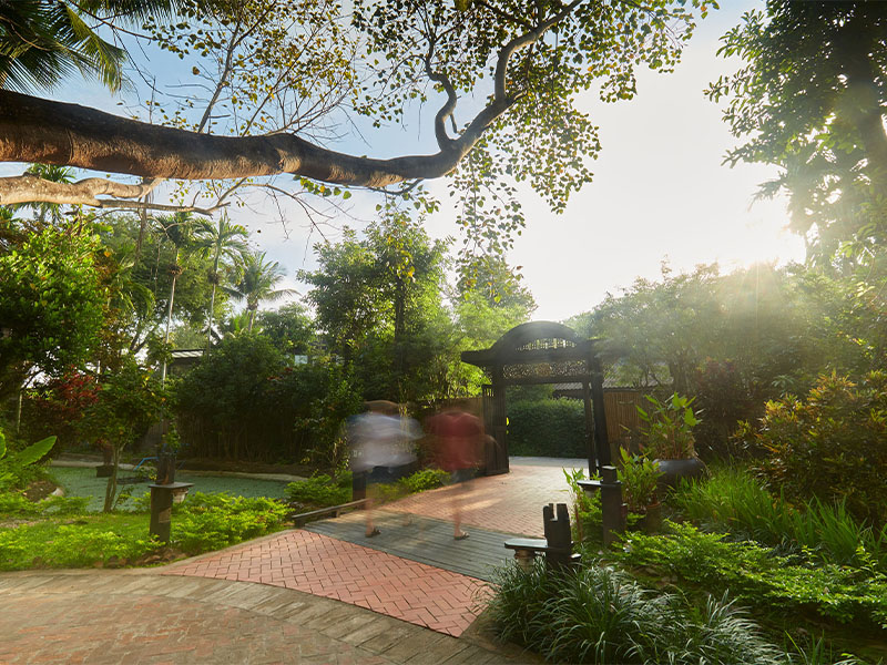 The Cabin in Chiang Mai - depression treatment centre 
