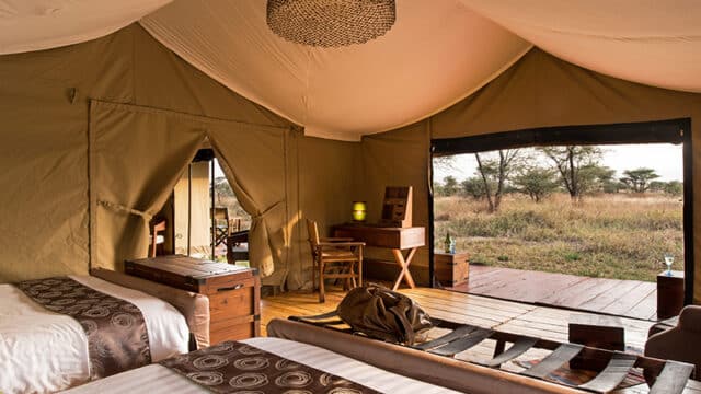 African Safari Holidays – From Safaris in Kenya to Tanzania