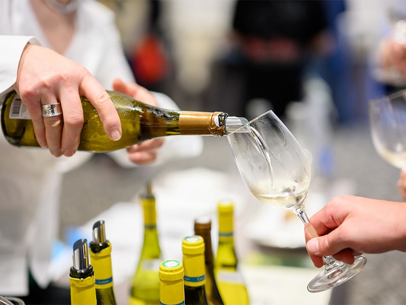 chardonnay wine