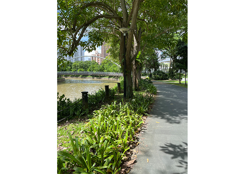 Rivergate Condo at Robertson Quay - Why these expats love it